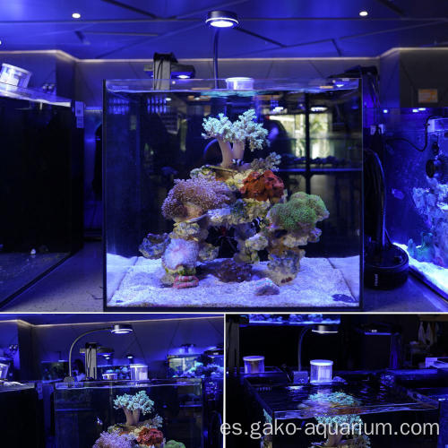 2022 NUEVO PRODUCTO ELECHO LED DE ACUARIO LED CORAL